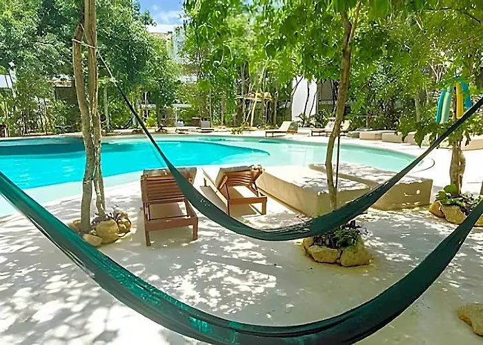Oasis Yaaxlum 3h