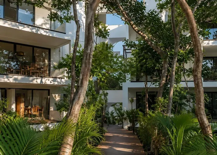 Oasis Yaaxlum 3h
