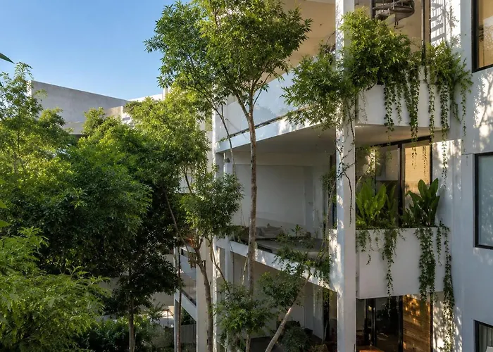 Oasis Yaaxlum 3h Tulum